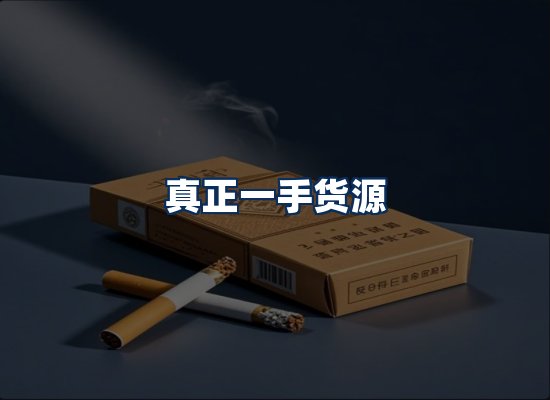 专业团队办公环境